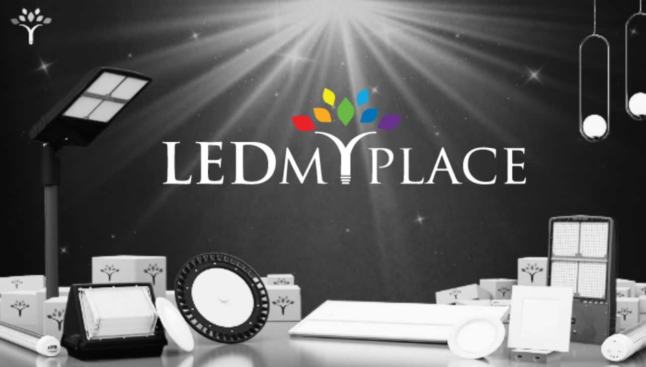 When Was LEDMyPlace Founded?