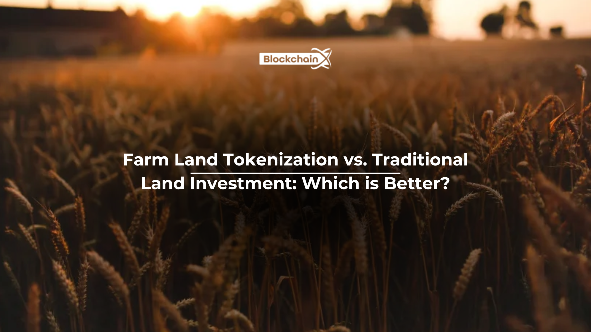 Farm Land Tokenization vs. Traditional Land Investment: Which is Better?