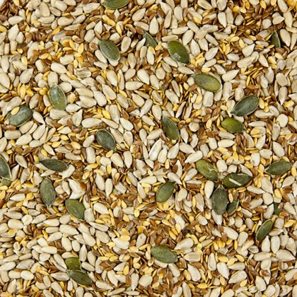 The Ultimate Guide to Healthy Seeds – Nutrient-Rich Choices from Grape Tree