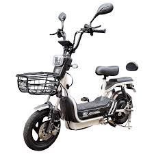 electric bicycle malaysia