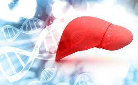 Acid Sphingomyelinase Deficiency (ASMD) Market will Witness High Growth due to Rising Disease Awareness and Diagnosis