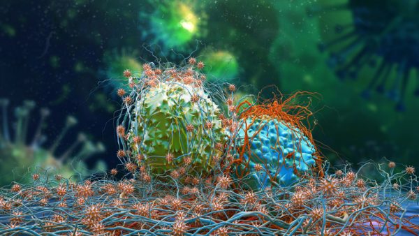 Exploring the Potential of Anti-CD47 Drugs Market in Autoimmune Disorders