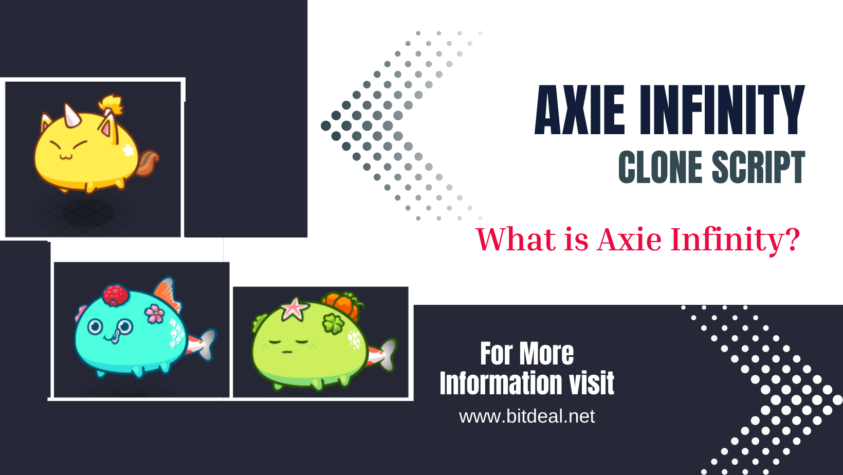 What Is Axie Infinity?