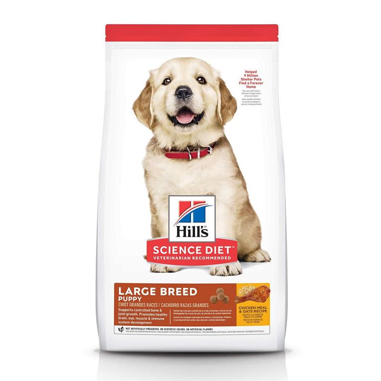 Best puppy food for labs