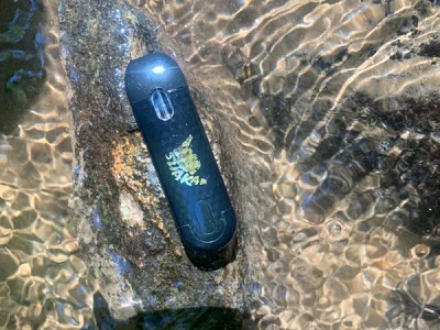 Terpene Vape, Organic CBD Vape