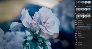 Best photo editors for Mac