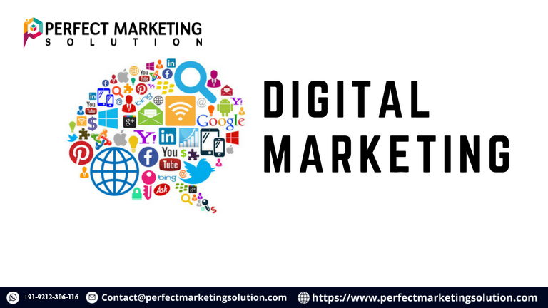 Website Design and SEO in Chicago