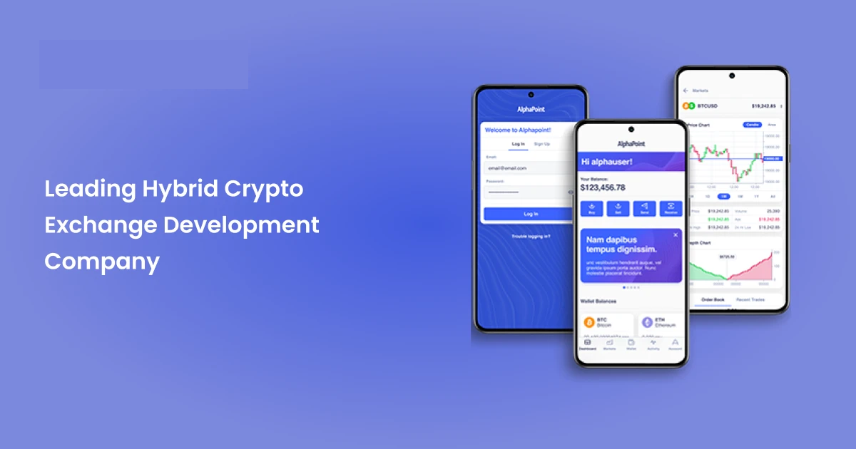 Hybrid Crypto Exchange Development Company Guide: Launching Your Own Platform