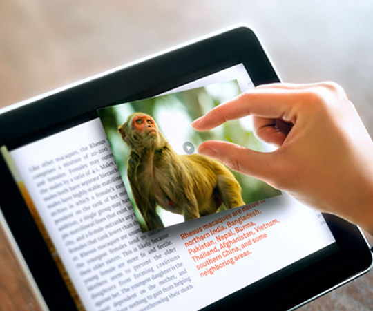 How Interactive eBooks Are Revolutionizing Modern Education