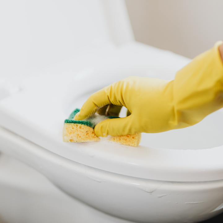 Maximizing Cleanliness With Professional Cleaning Maid Services in Research Forest