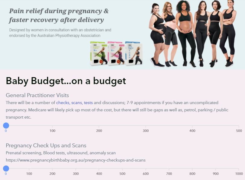Baby Budget Calculator – SRC Health