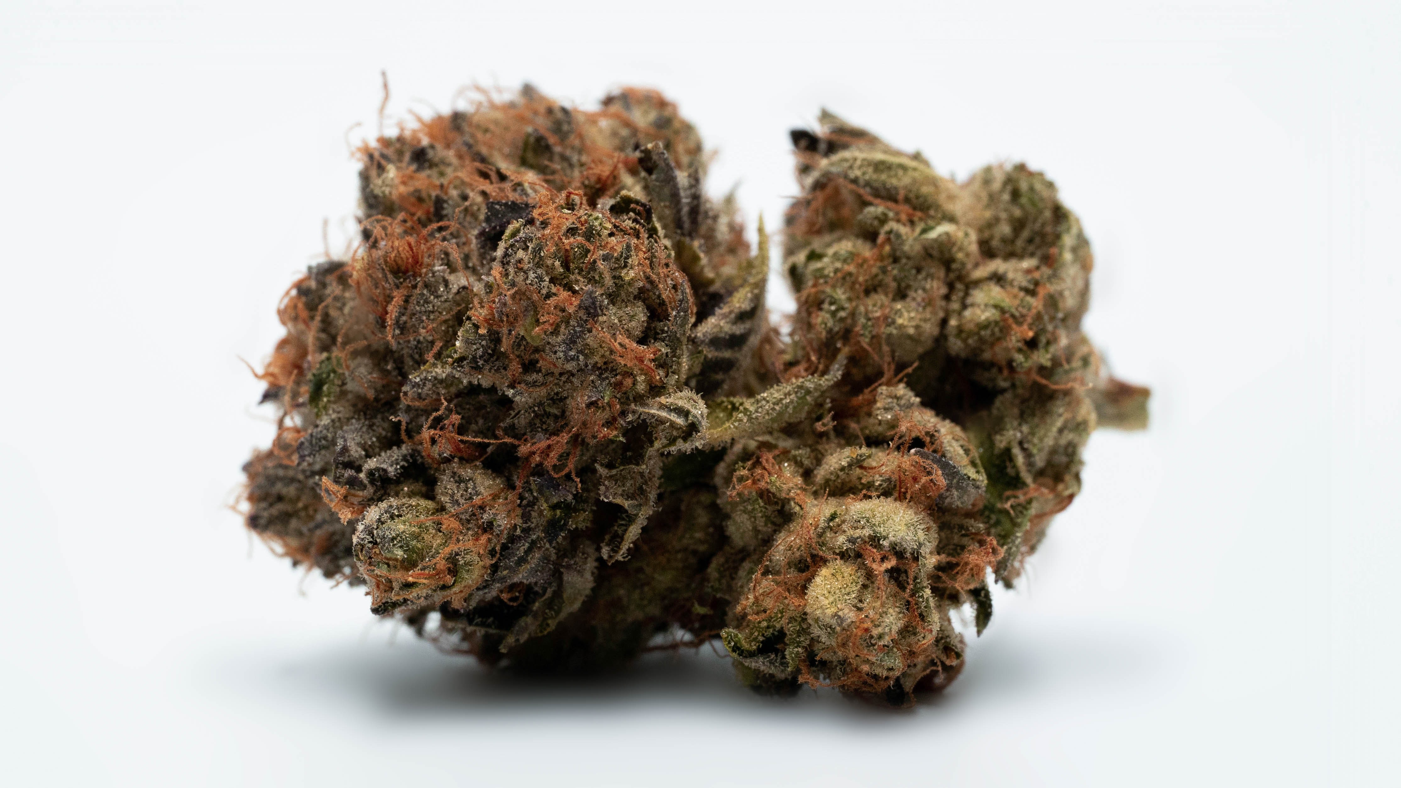 Consult A Medical Marijuana Doctor In Anaheim To Fight Anxiety.