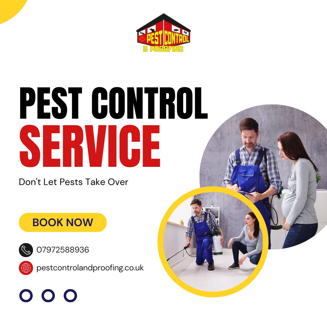 Reliable Pest Control in Belfast, Antrim, and Ballymena – Expert Solutions for a Pest-Free Home