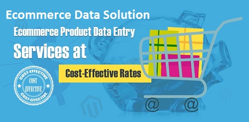 Ecommerce Product Data Entry Services – Ecommerce Data Solution