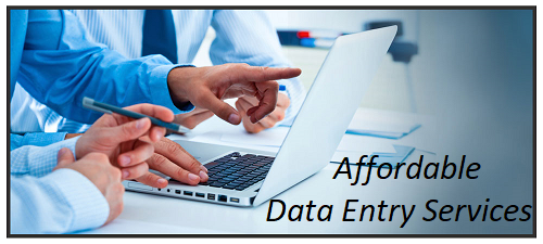Affordable Data Entry Services – Ecommercedatasolution.com
