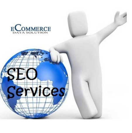 Best SEO Services Company In India | Ecommerce Data Solution