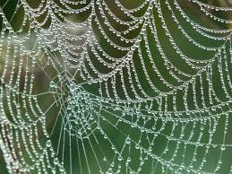 The Fascinating Potential of Synthetic Spider Silk