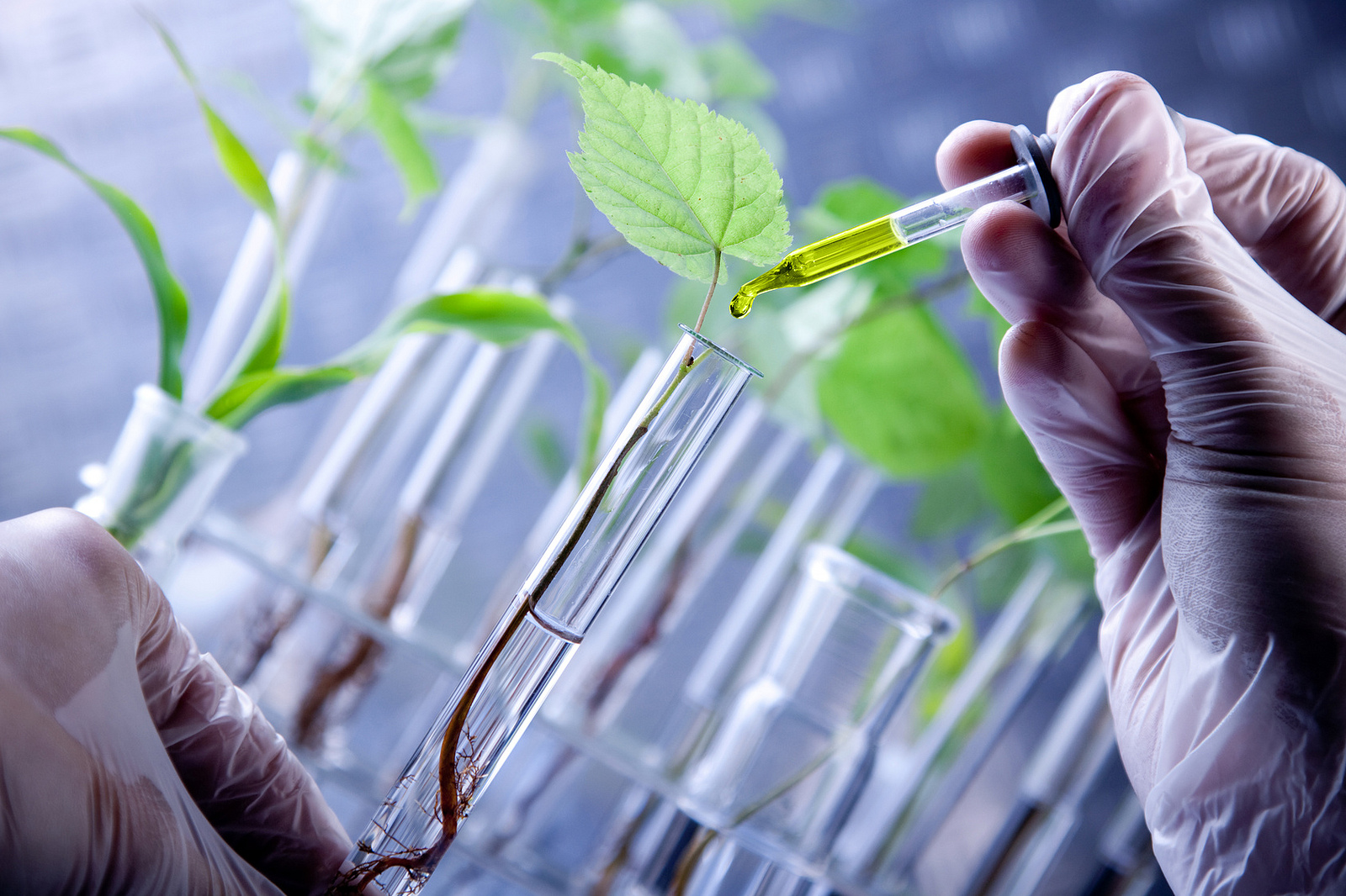 Bioengineered Artificial Skin The Future of Wound Healing and Skin Replacement