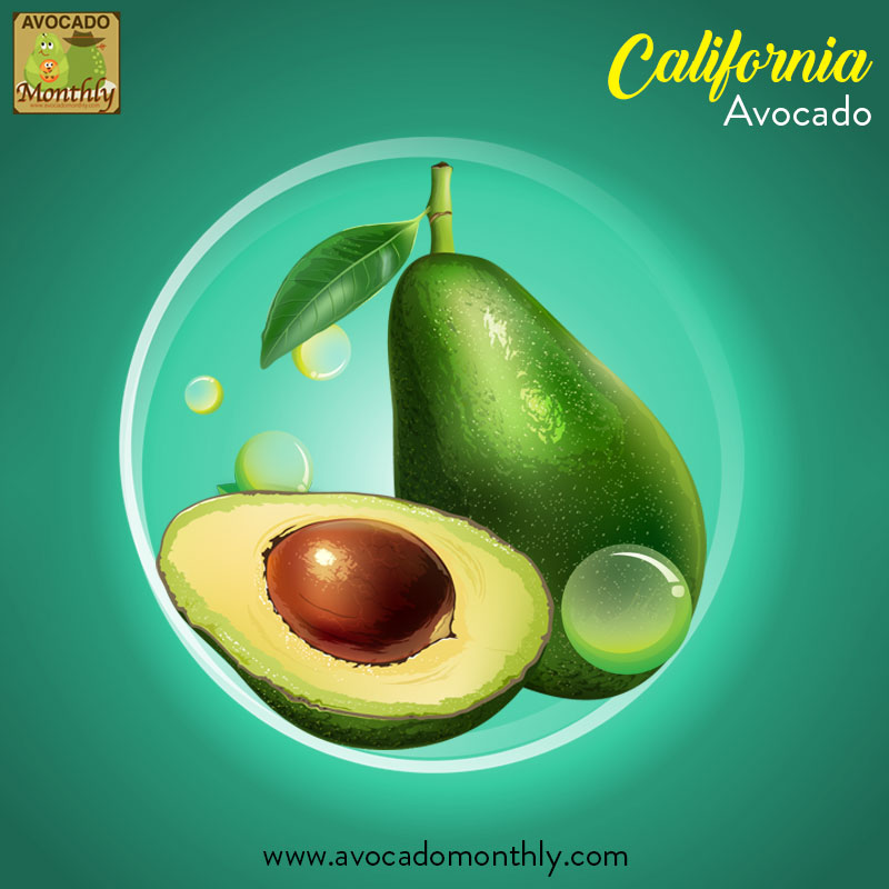 A Fruit or A Vegetable? The Avocado Myth Buster