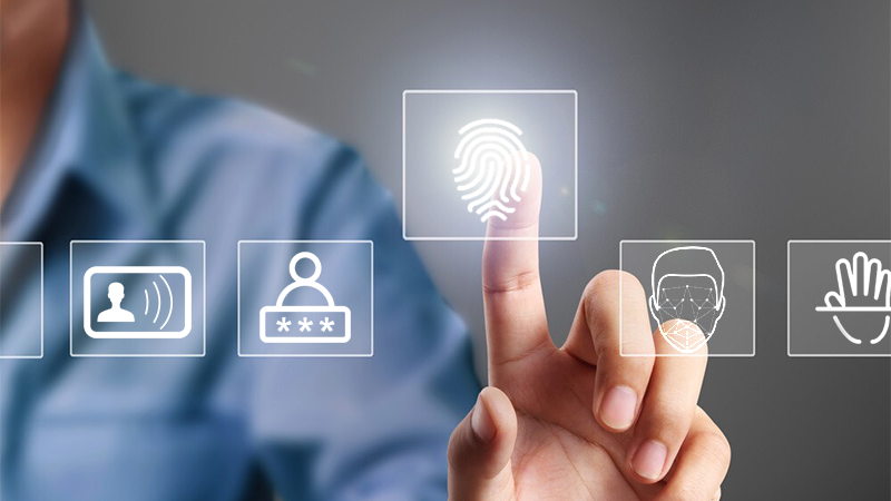 Fingerprint Time Attendance Software: Modernize Workforce Monitoring