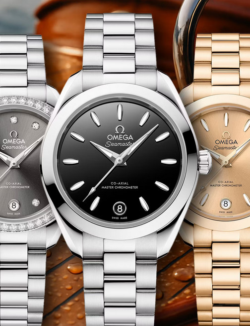 Omega Seamaster Aqua Terra 30mm Watches 2025