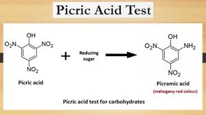The Role of Picramic Acid in Modern Industrial Chemistry