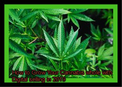 How to Grow Your Cannabis whole with Digital selling in 2019