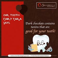 A   guide into when one can visit a cosmetic dentist and general dentist.