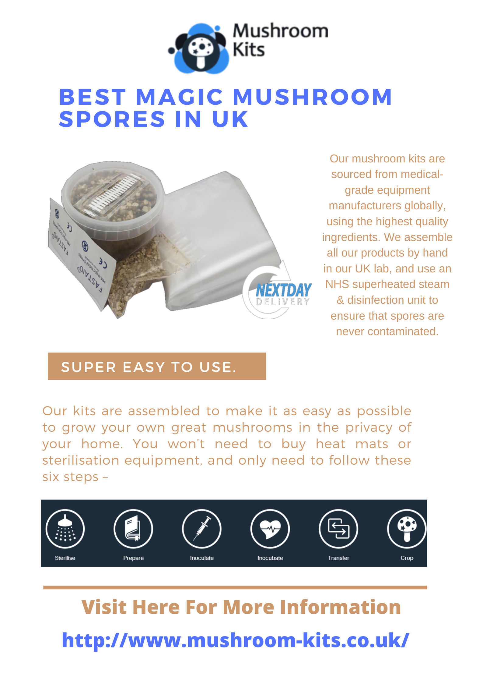 Best Magic Mushroom Spores in UK