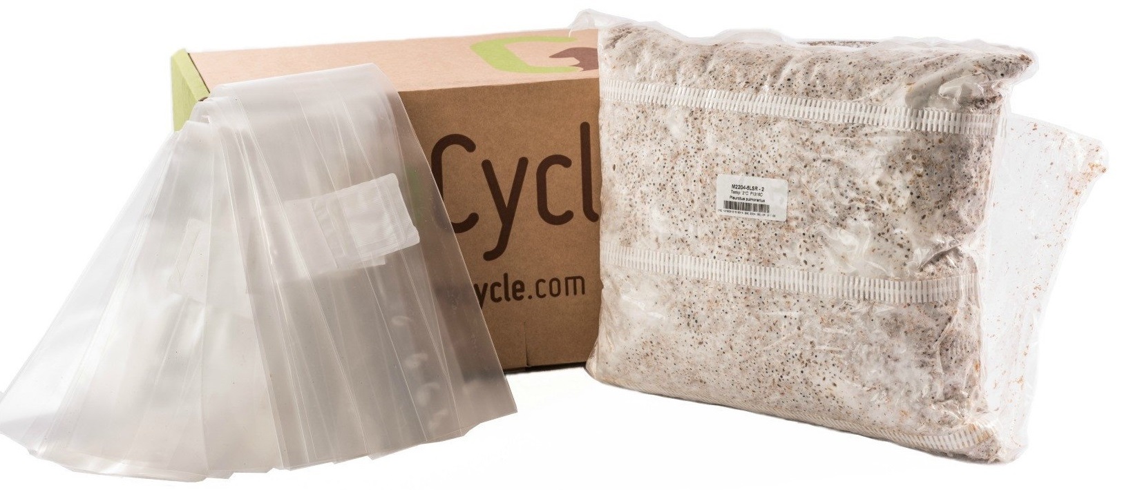Buy Online Magic Mushroom Grow Kits in UK