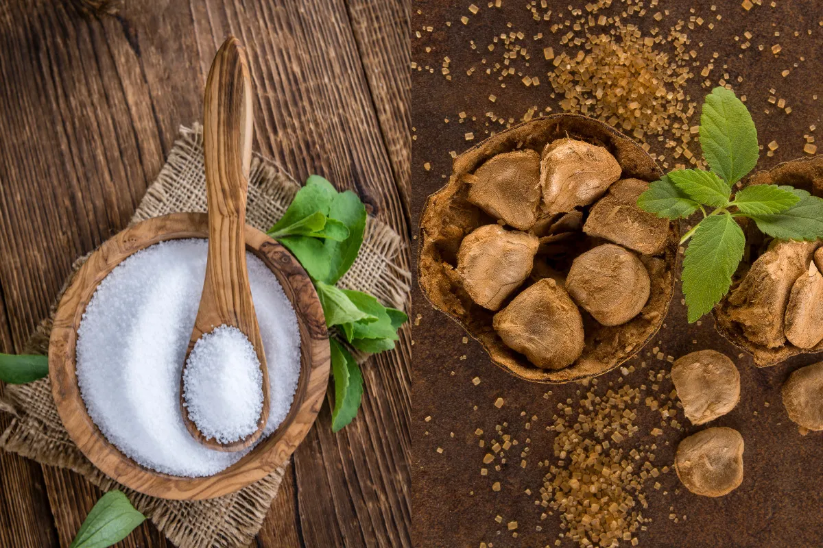 Monk Fruit Sweetener and Gut Health: What Science Says