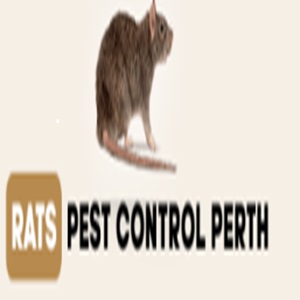 Effective Dead Rodent Control in Perth: Keep Your Home Rodent-Free