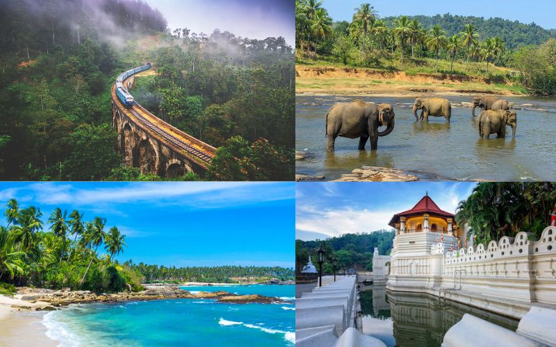 Top Adventure Activities to Try in Sri Lanka