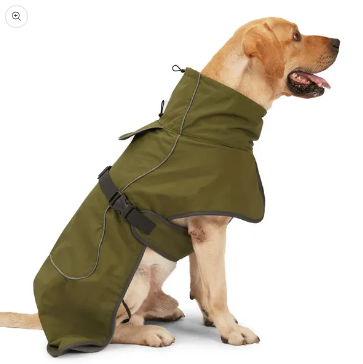 What Are the Benefits of Shopping for Dog Supplies Online?