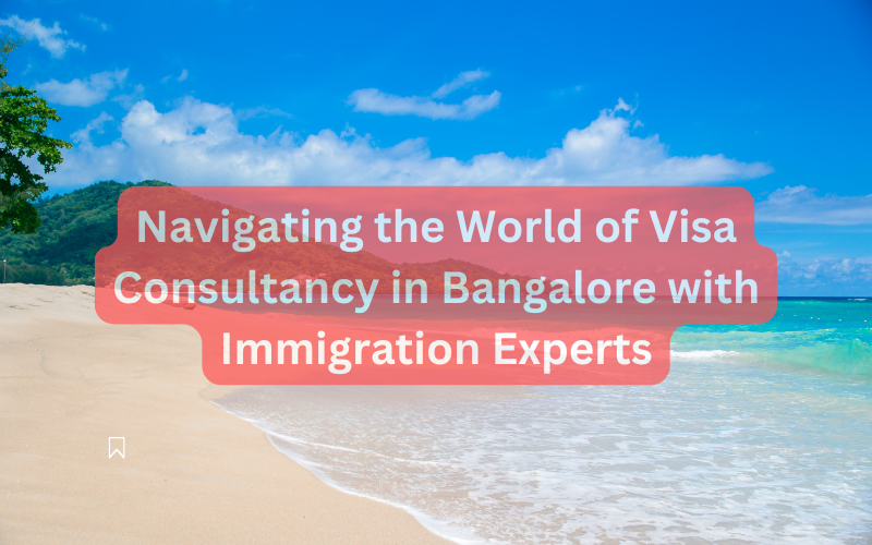 Navigating the World of Visa Consultancy in Bangalore with Immigration Experts