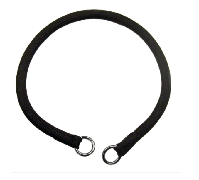 A Complete Guide to Choosing the Best Dog Training Collar