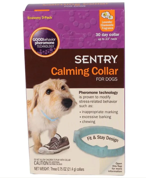 How Calming Treats Can Help Your Dog Stay Relaxed