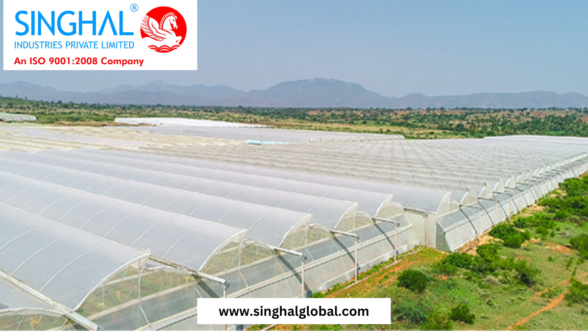 Greenhouse Film: The Backbone of Modern Protected Farming