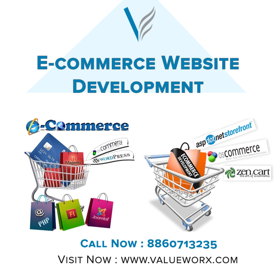 Ecommerce website Development in Delhi