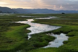 Why Smart Developers Are Turning to Conservation Easements for Big Wins? 