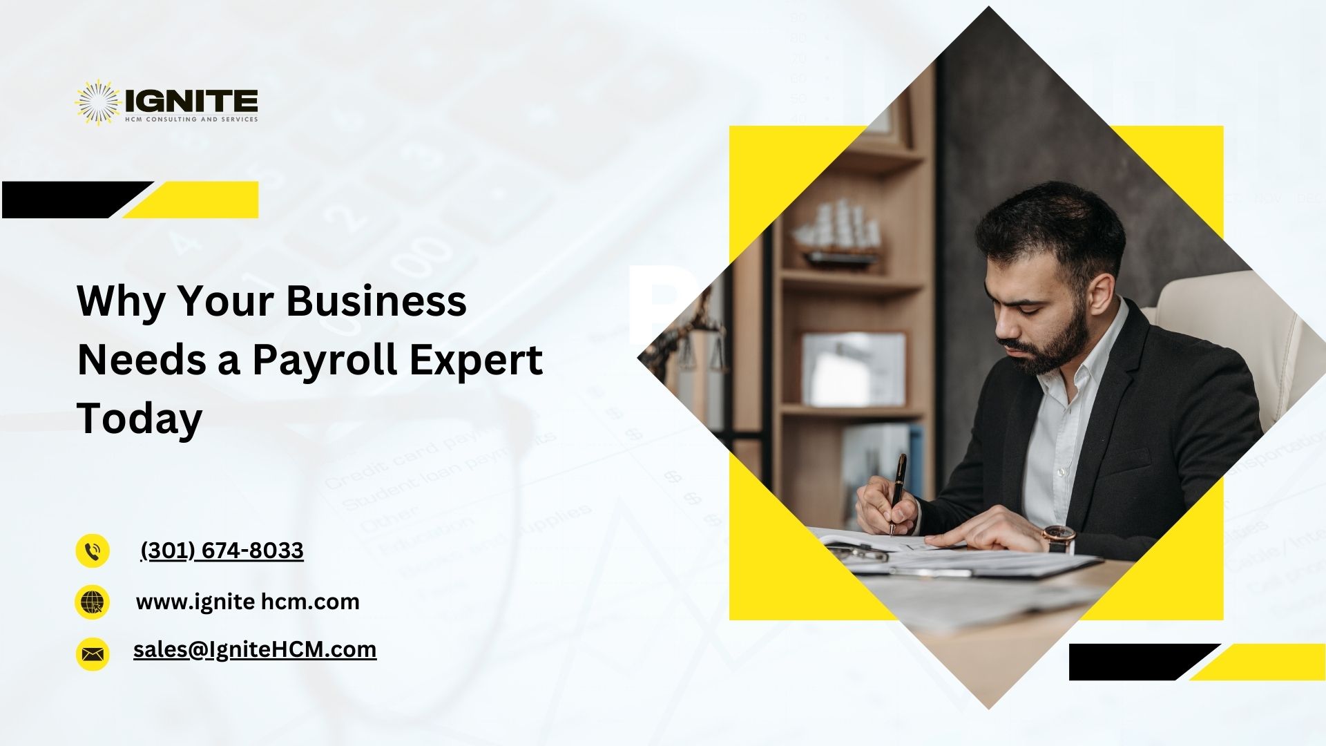 Why Your Business Needs a Payroll Expert Today