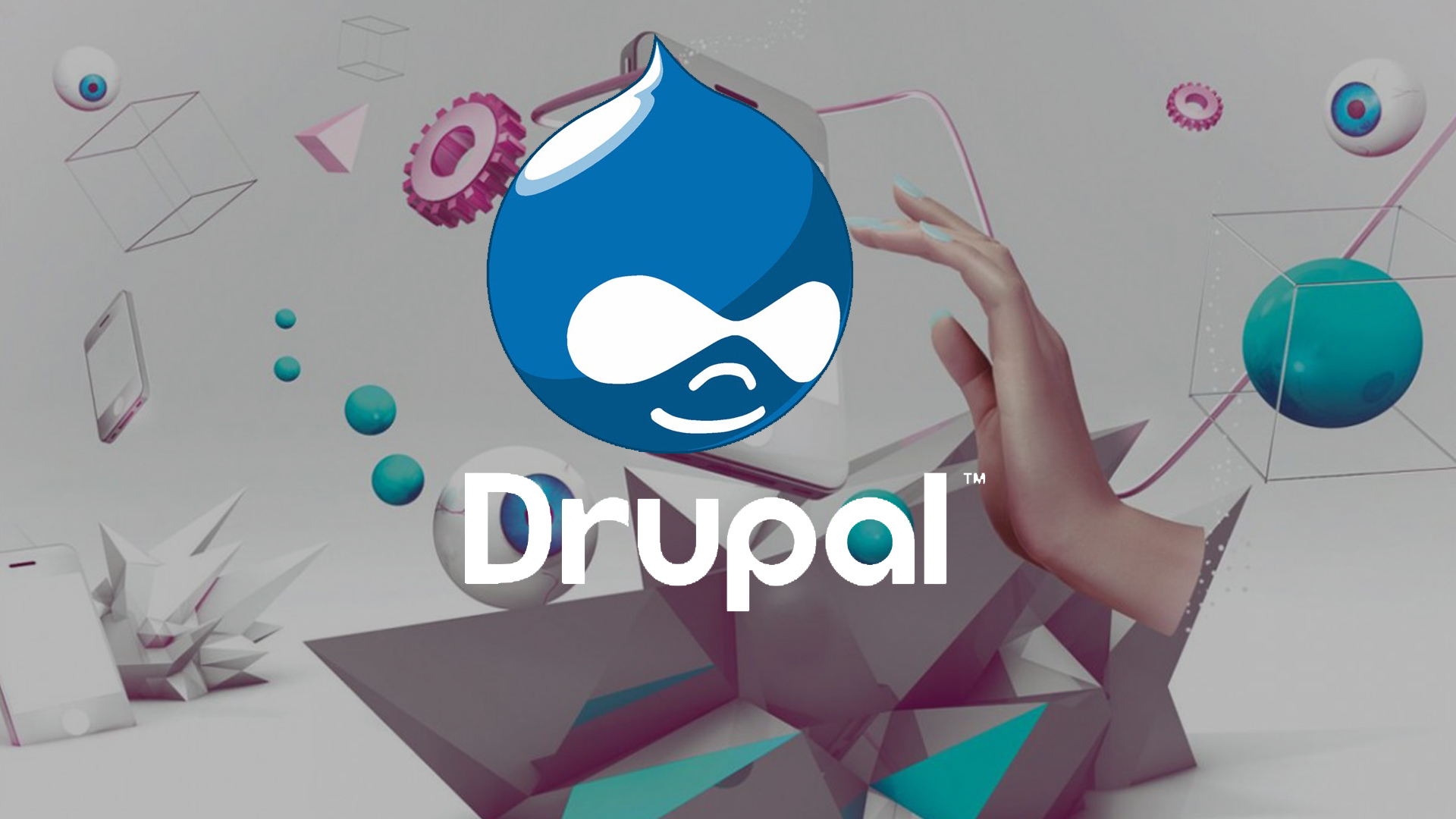 Drupal Development Services Company in India, USA