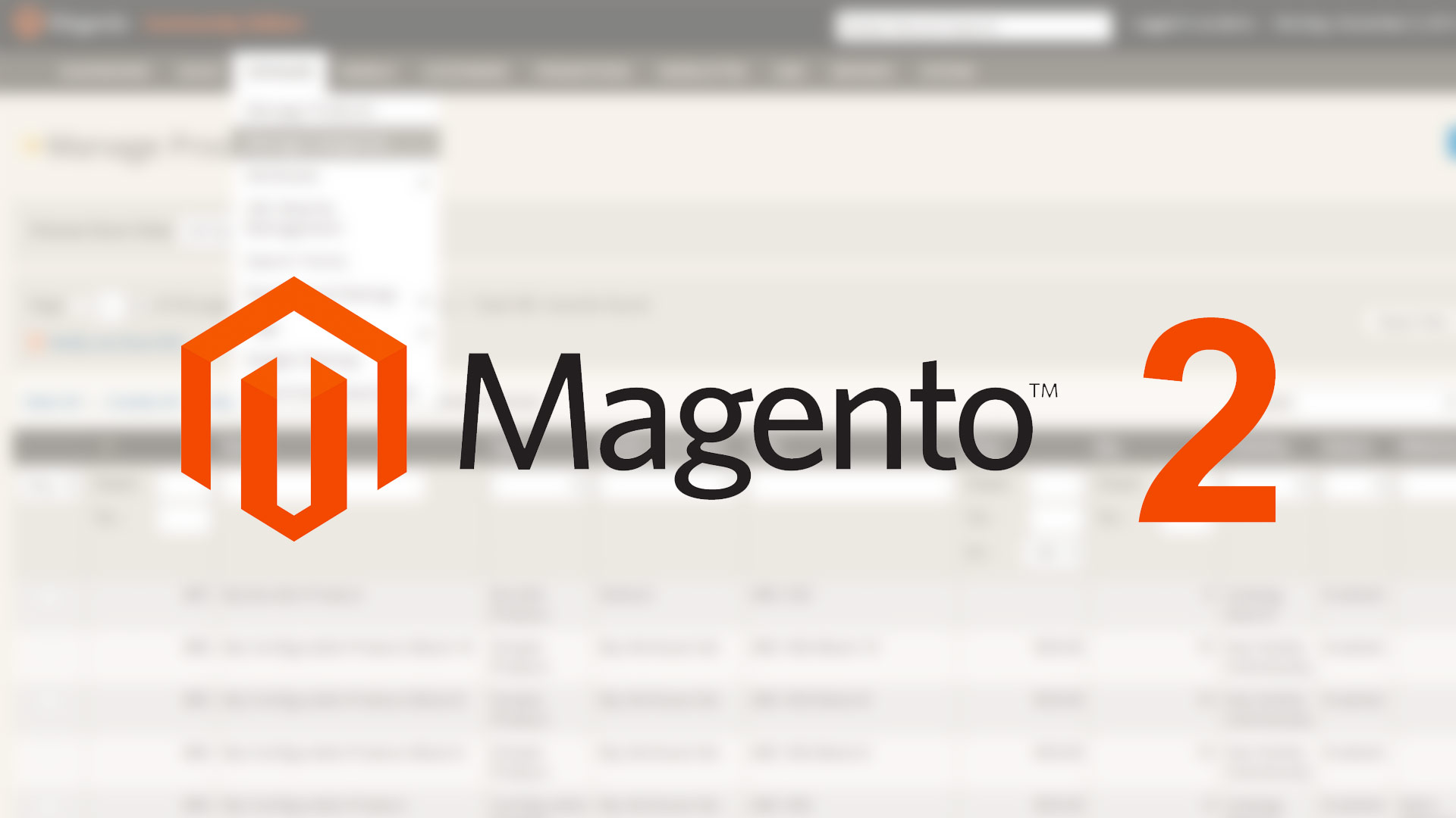 Magento 2 E-commerce Website Development Company India