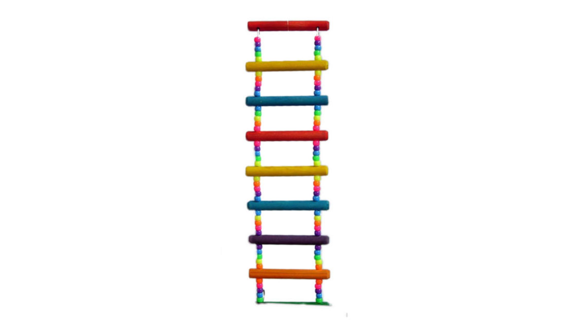 Why Are Parrot Foot Toys Essential?