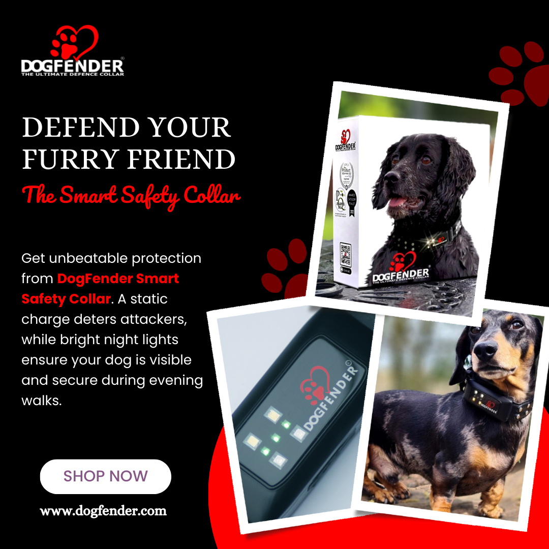 Significance of Smart and Safety Pet and Dog Collar USA!