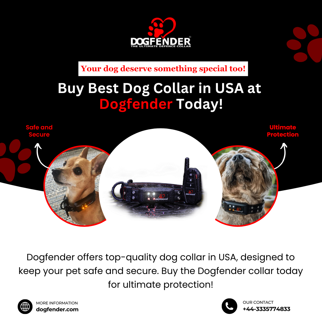 How to Choose the Perfect Dog Collar for Your Puppy