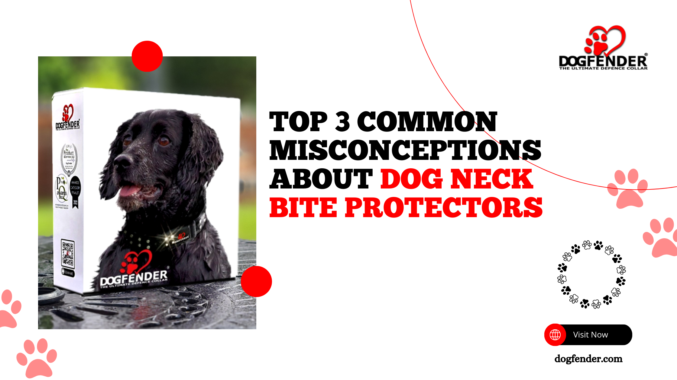 Top 3 Common Misconceptions about Dog Neck Bite Protectors