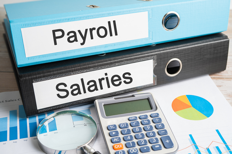 Simplify Employee Payroll Solutions with Smart Cloud Payroll Management Software