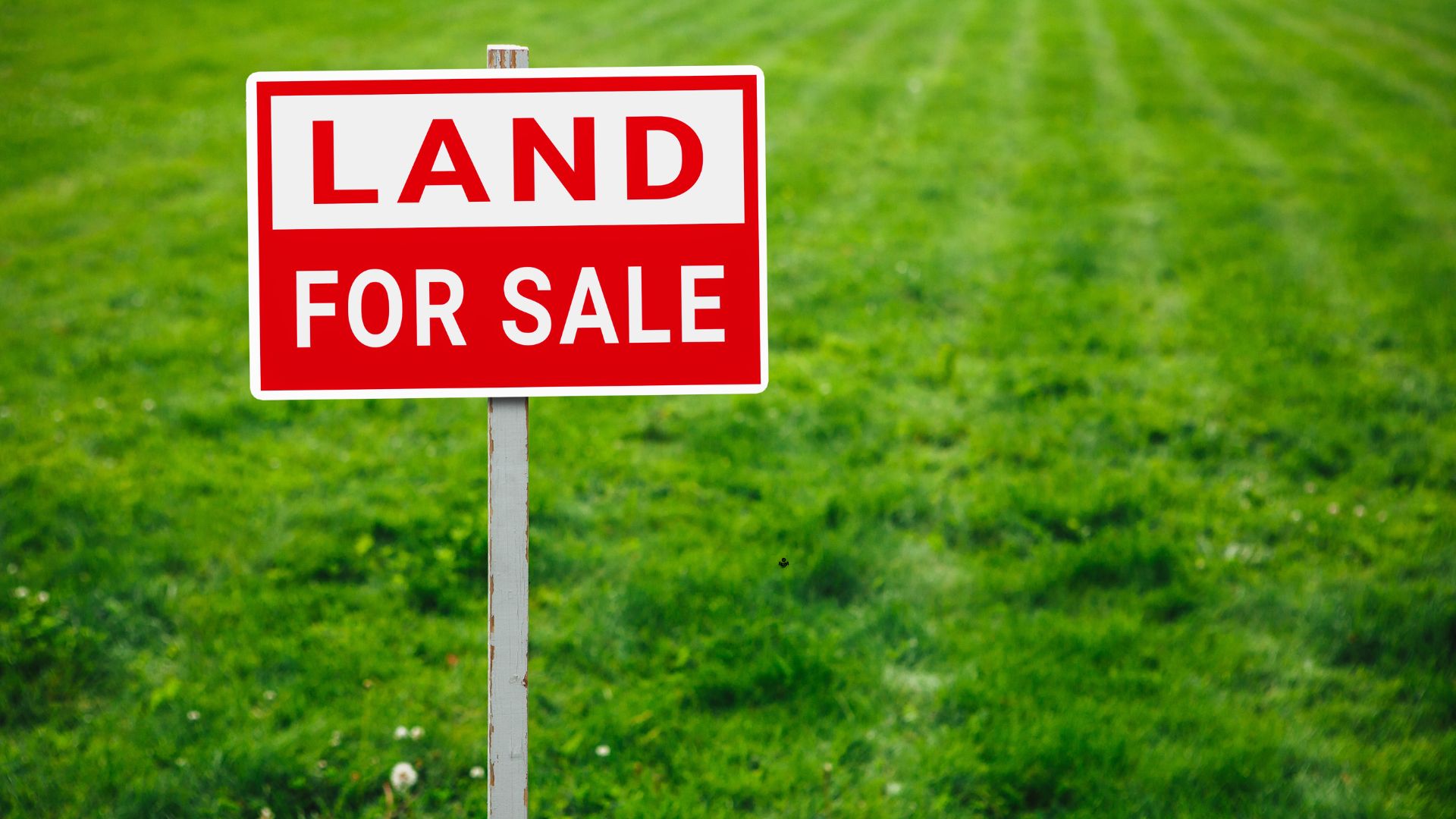 Why Technopark Adjacent Areas Are Seeing a Surge in Plot Demand