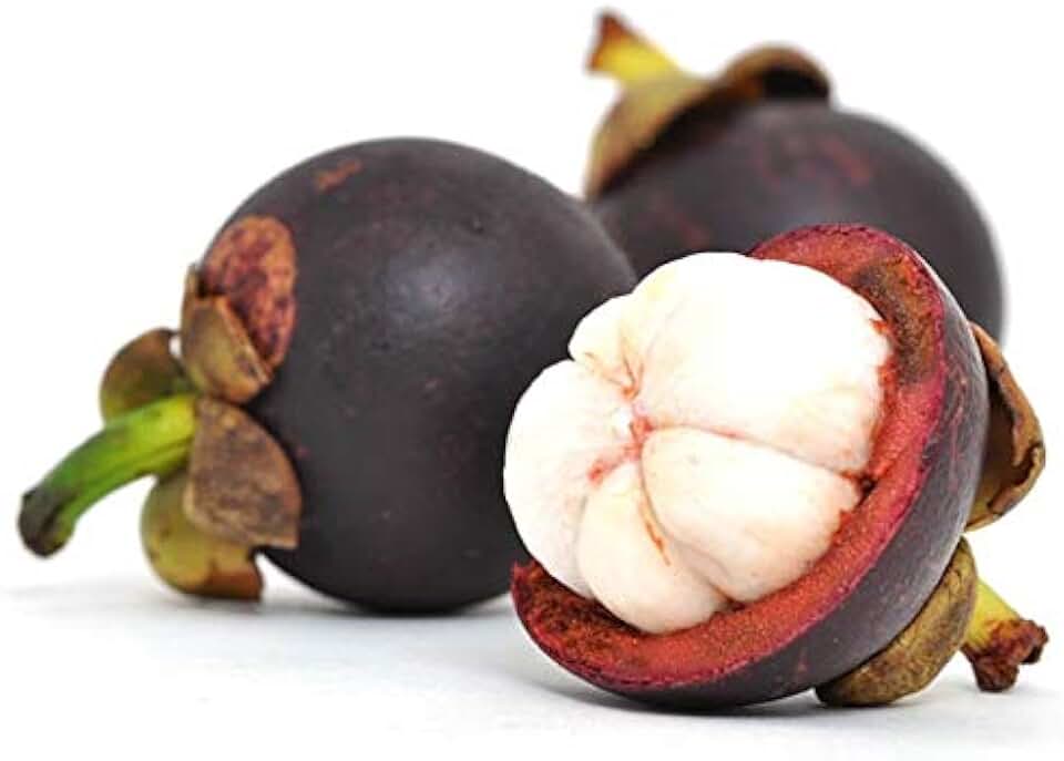    The Global Rise of Mangosteen: From Tropics to Superfood Stardom